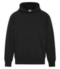 HEAVYWEIGHT FLEECE PULLOVER HOODIE. T420